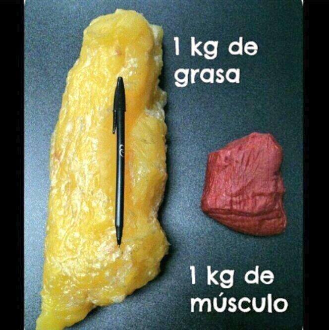 1kg de grasa y 1kg de musculo