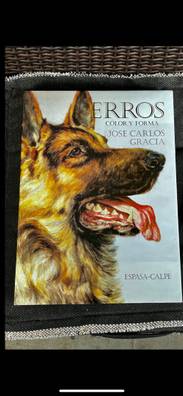 Regalo perros de caza en Navarra