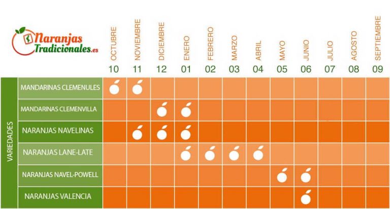 Temporada de la naranja en España